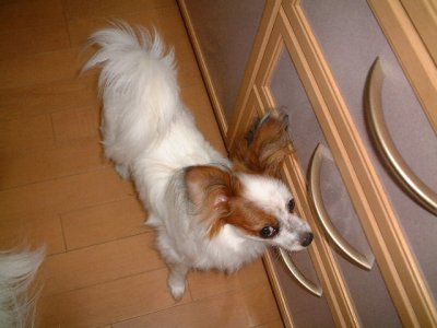 ���������[��